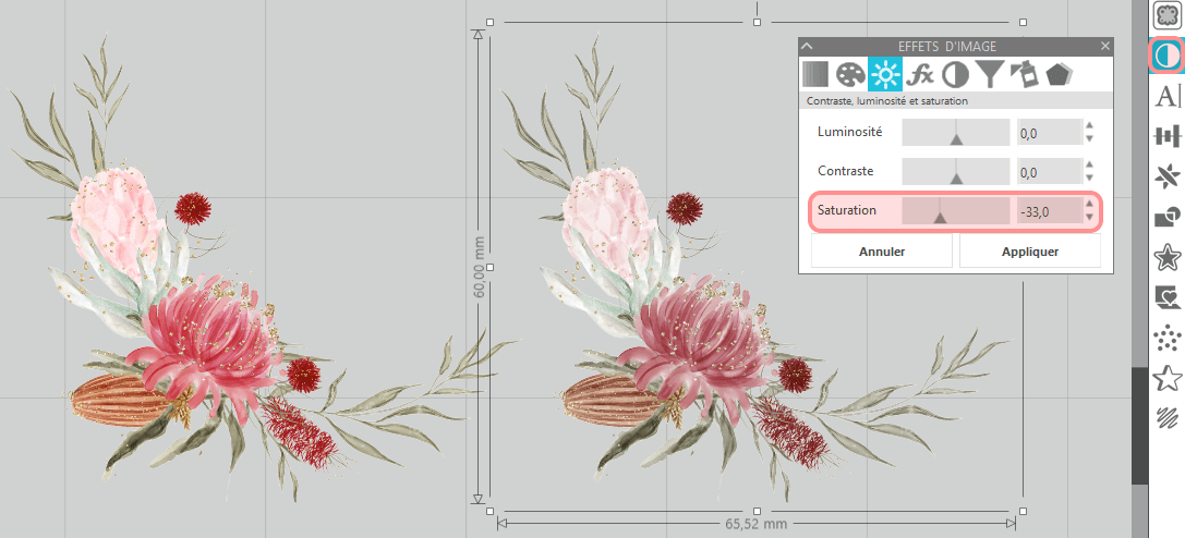 Panneau Effets d'image et désaturation